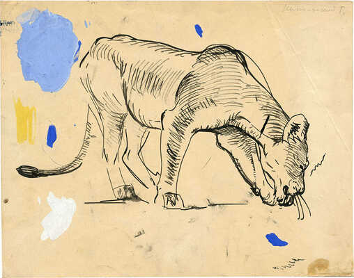 Никольский Георгий Евлампиевич. Львица 